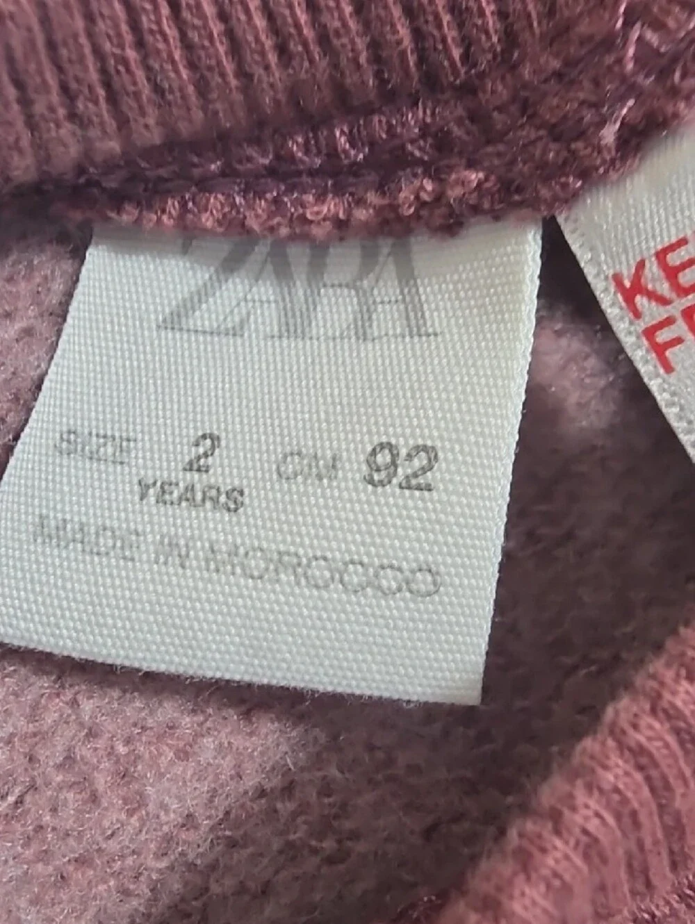Zara Wine/Mauve Dog Park Graphic Sweatshirt